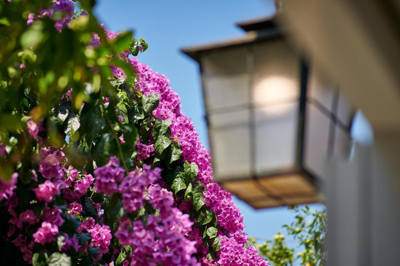 Villa Magnolia Cavtat Extérieur photo